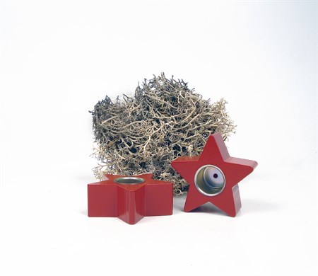 Stjärnljusstake röd